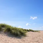 Nordseeglueck * 쉴리그