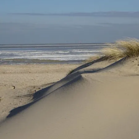 Nordseeglueck * 쉴리그